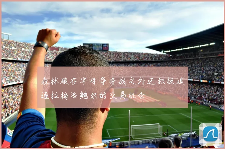 森林狼在字母争夺战之外还积极追逐拉梅洛鲍尔的交易机会