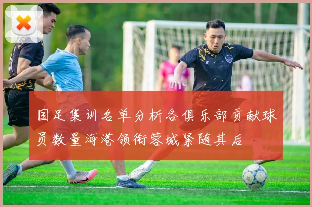 国足集训名单分析各俱乐部贡献球员数量海港领衔蓉城紧随其后